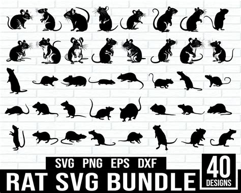 Rat Free DXF Files & Vectors .
